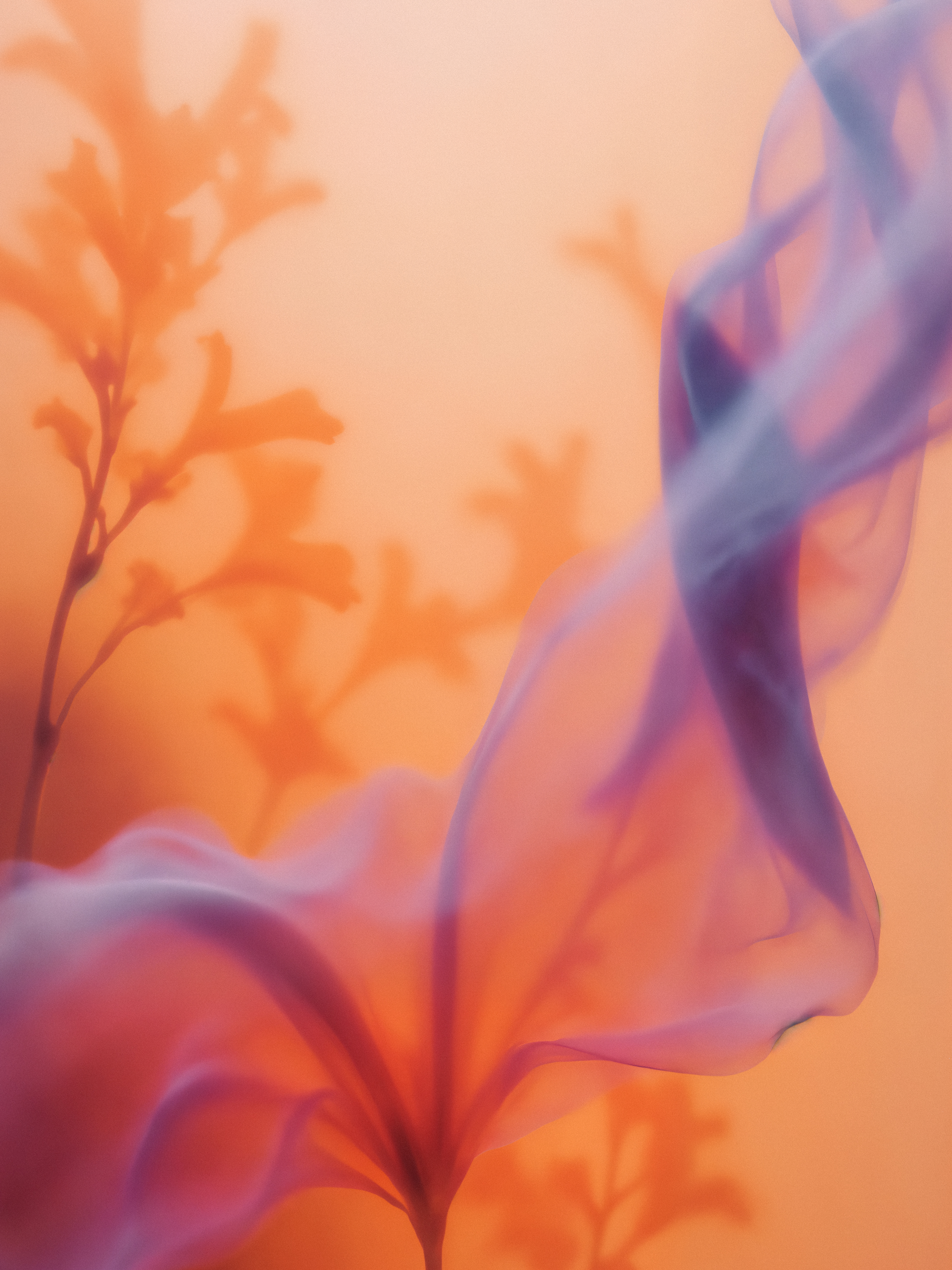 Abstract graphic system for brand storytelling